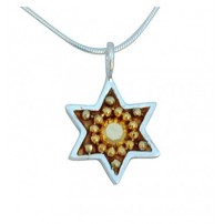 Golden Star of David Necklace
